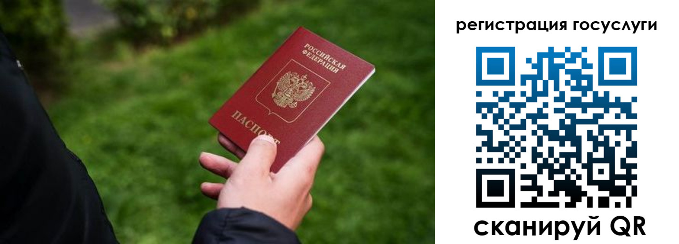 прописка в Красном Сулине